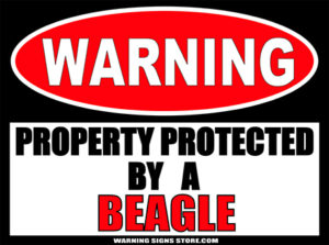 BEAGLE PROPERTY PROTECTED BY WARNING SIGN