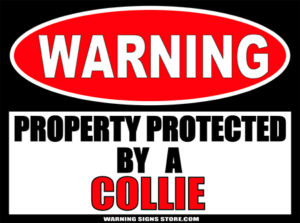 COLLIE PROPERTY PROTECTED BY WARNING SIGN
